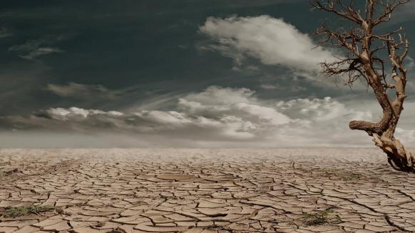 stock photo of desert