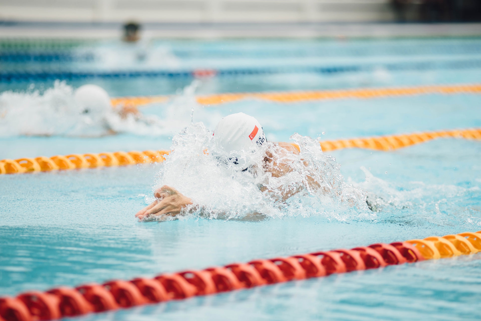 L'essentiel des plans de cours de l'école de natation